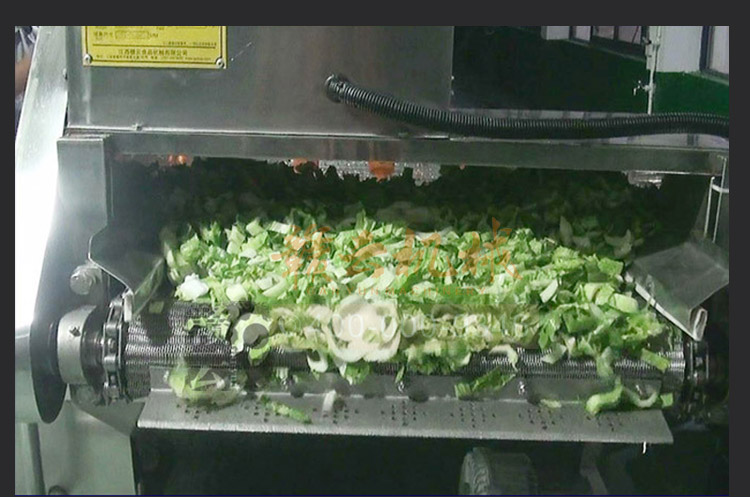 事业单位部队学校食堂的蔬菜清洗消毒用的气泡清洗机(图17)