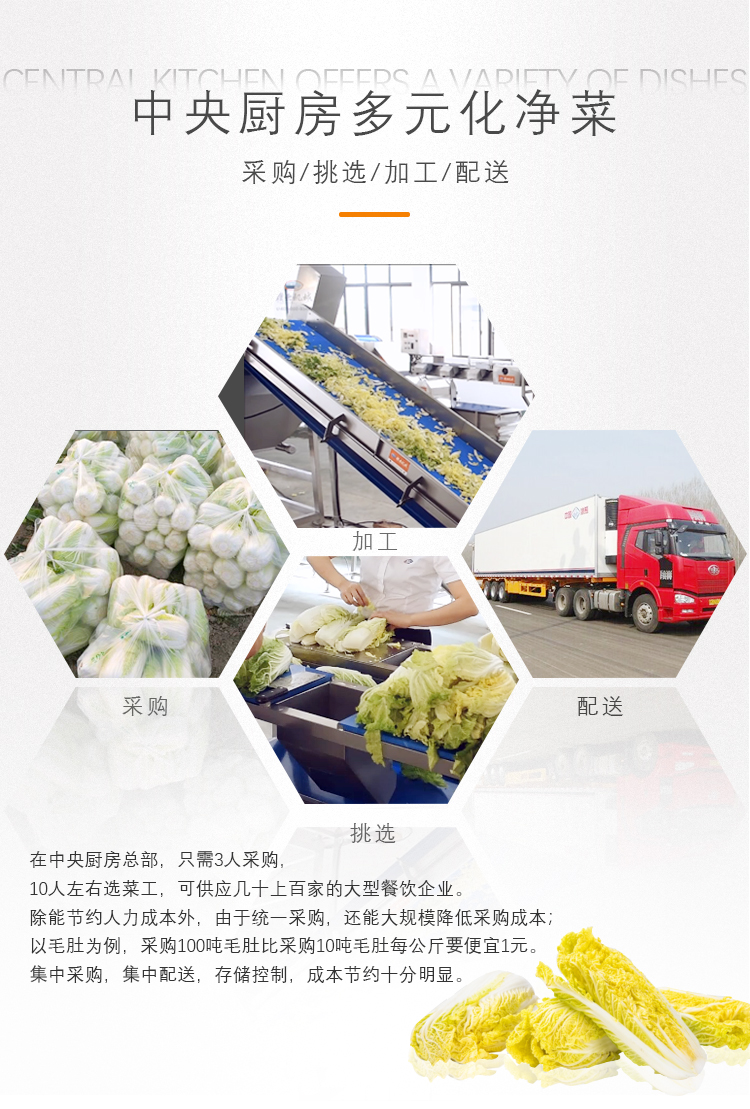 赣州中央厨房净菜加工流水线学校营养餐配送中心蔬菜加工自动化生产线(图2)