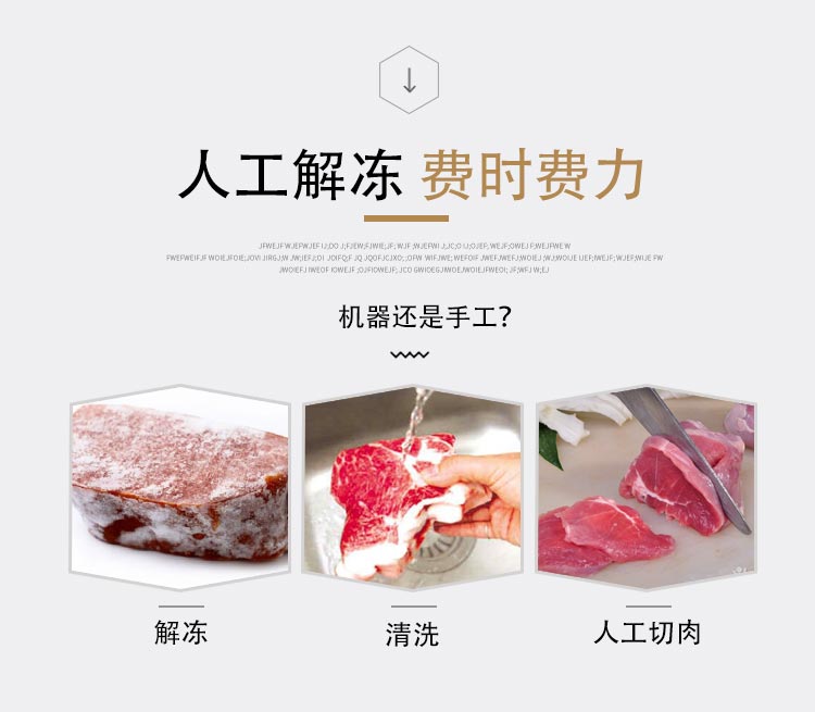 江西广东浙江大型商用大功率冻肉刨肉机(图3)